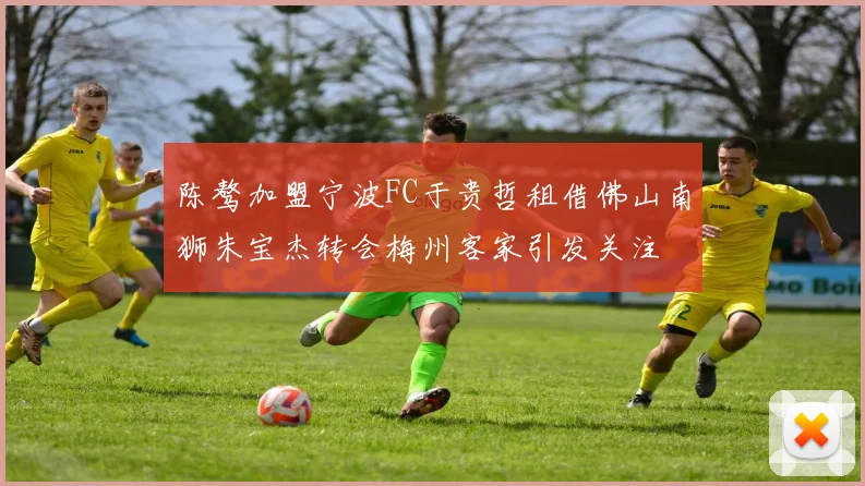 陈骜加盟宁波FC于贵哲租借佛山南狮朱宝杰转会梅州客家引发关注