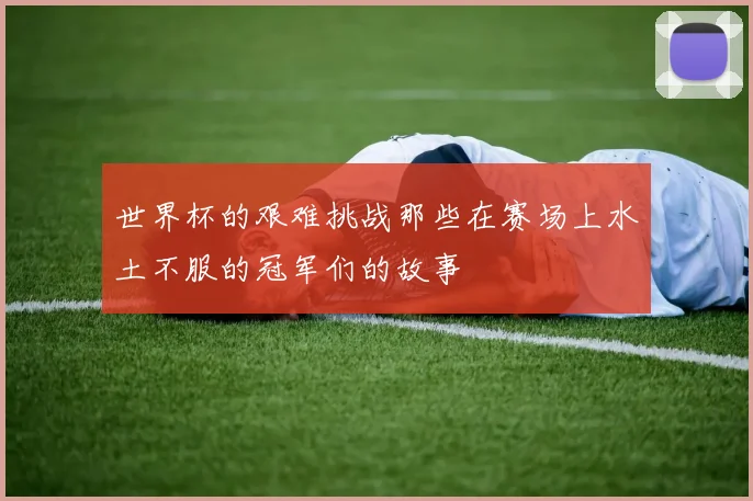 世界杯的艰难挑战那些在赛场上水土不服的冠军们的故事
