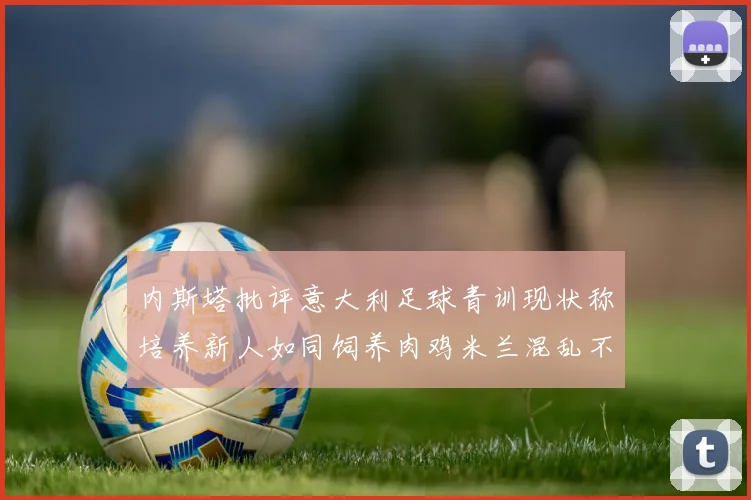 内斯塔批评意大利足球青训现状称培养新人如同饲养肉鸡米兰混乱不堪